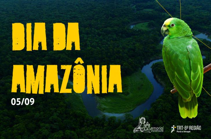 Arte com uma fotografia aérea da Amazônia. Alinhado à esquerda, o texto "Dia da Amazônia" em amarelo. À direita, um papagaio ver