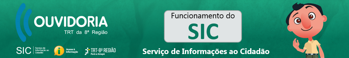 Funcionamento do Serviço de Informações ao Cidadão